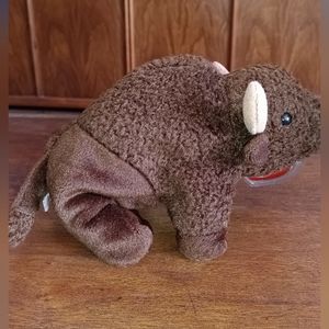 Buffalo  " Roam" Ty baby
